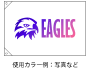 フルカラー