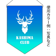 フルカラー
