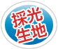 採光生地