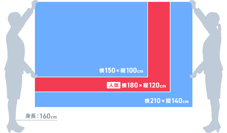 定番サイズ
