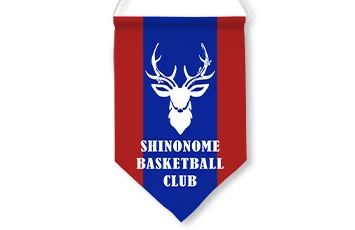 ホームベース形
